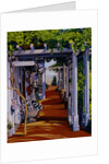 Passages by Anne Belov