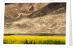 Oilseed Rape Plants Blooming at Foot of Mountain by Anonymous
