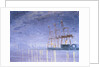 Pre-Dawn with Cranes by Mary Iverson