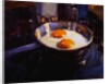 Eggs on the Gas Stove by Pam Ingalls
