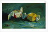 Taffy by Pam Ingalls