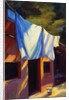 Sheets of Italy by Pam Ingalls
