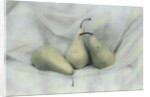 Pear Study #1731 by Kim Koza