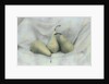 Pear Study #1731 by Kim Koza