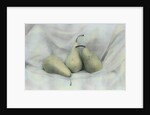 Pear Study #1731 by Kim Koza