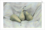 Pear Study #1731 by Kim Koza