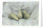 Pear Study #1731 by Kim Koza