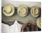 Amish Study #18 by Kim Koza