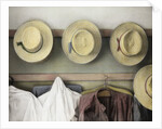 Amish Study #18 by Kim Koza