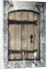 H.C. Cotswald Door and Tulips by Kim Koza