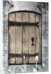 H.C. Cotswald Door and Tulips by Kim Koza