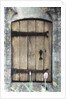 H.C. Cotswald Door and Tulips by Kim Koza