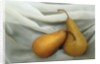 Pears by Kim Koza
