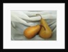 Pears by Kim Koza