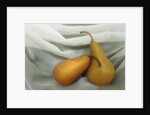 Pears by Kim Koza