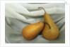 Pears by Kim Koza
