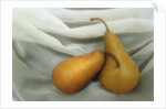 Pears by Kim Koza