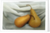Pears by Kim Koza