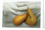 Pears by Kim Koza