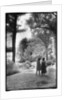 Jess and Kris by Kim M. Koza
