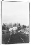 Umbrella Girls by Kim M. Koza