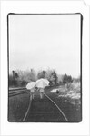 Umbrella Girls by Kim M. Koza