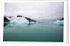 Sailboat Cruising the Arctic by Anonymous