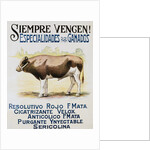 Siempre Vengen! Poster by Anonymous