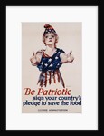 Be Patriotic Poster by Paul Stahr