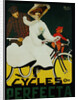 Cycles Perfecta Poster by A. Butteri