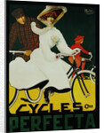 Cycles Perfecta Poster by A. Butteri