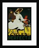 Cycles Perfecta Poster by A. Butteri