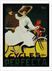 Cycles Perfecta Poster by A. Butteri