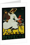 Cycles Perfecta Poster by A. Butteri
