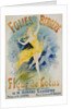 Folies Bergere Fleur de Lotus Poster by Jules Cheret