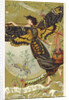 Atropos Acherontia, Solanum Dulcamara, eau des Carmes Boyer Perfume Victorian Trade Card by Corbis