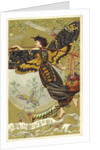 Atropos Acherontia, Solanum Dulcamara, eau des Carmes Boyer Perfume Victorian Trade Card by Anonymous