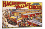 Hagenbeck-Wallace Trained Wild Animal Circus Poster by Anonymous