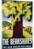 The Berkshires Poster by Ben Nason