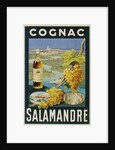 Cognac Salamandre Poster by Anonymous