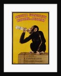Anisetta Evangelisti Liquore da Dessert Poster by Carlo Biscaretti di Ruffia
