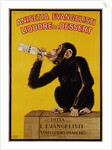 Anisetta Evangelisti Liquore da Dessert Poster by Carlo Biscaretti di Ruffia