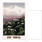 See India Poster by Shep