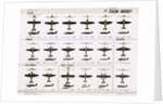 Poster of Italian Combat and Transport Aircraft by Anonymous