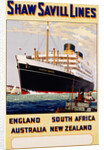 Poster for Shaw Savill Lines by Anonymous
