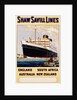 Poster for Shaw Savill Lines by Anonymous