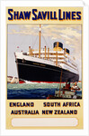 Poster for Shaw Savill Lines by Anonymous