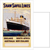 Poster for Shaw Savill Lines by Anonymous