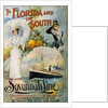 To Florida and the South - Savannah Line Poster by Anonymous