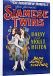 Poster Advertisement for Siamese Twins Daisy and Violet Hilton by Anonymous